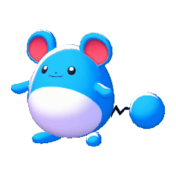 Marill dans Pokémon Pokopia