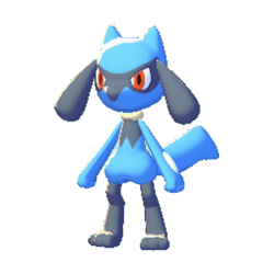 Riolu dans Pokémon Pokopia